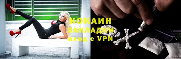 молекула духа Лиски