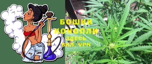 молекула духа Лиски