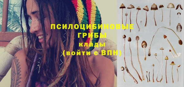 молекула духа Лиски