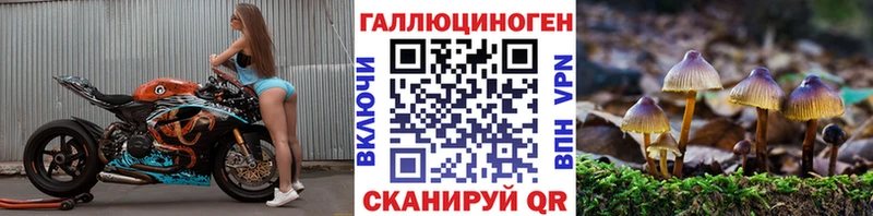 Псилоцибиновые грибы Cubensis  Купить закладки  Аркадак 