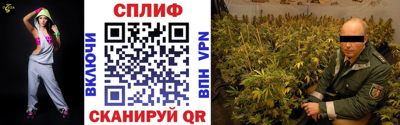 Купить  Аркадак  Шишки марихуана VHQ 